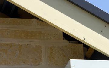 soffit repair Wyllie